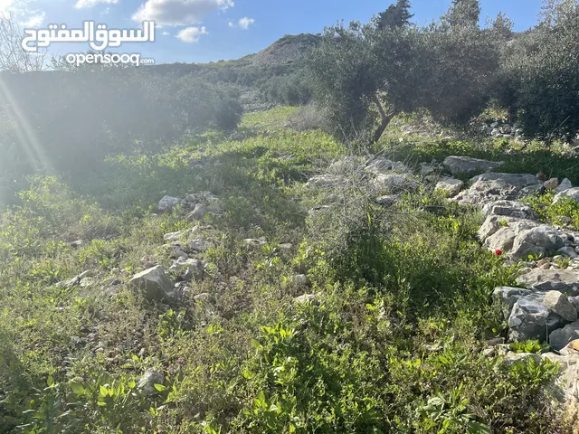 Mixed Use Land for Sale in Tulkarm Safarin