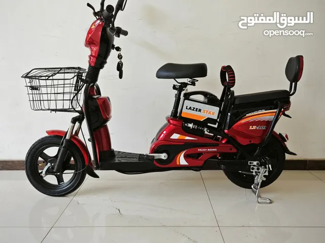 Electric Bike