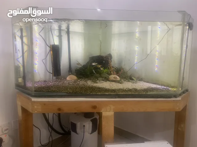 Full aquarium