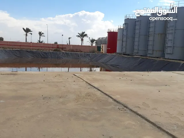 مصنع للبيع ببرج العرب 850 متر جمالون 475