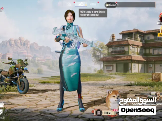PUBG ACCOUNT FOR SALE