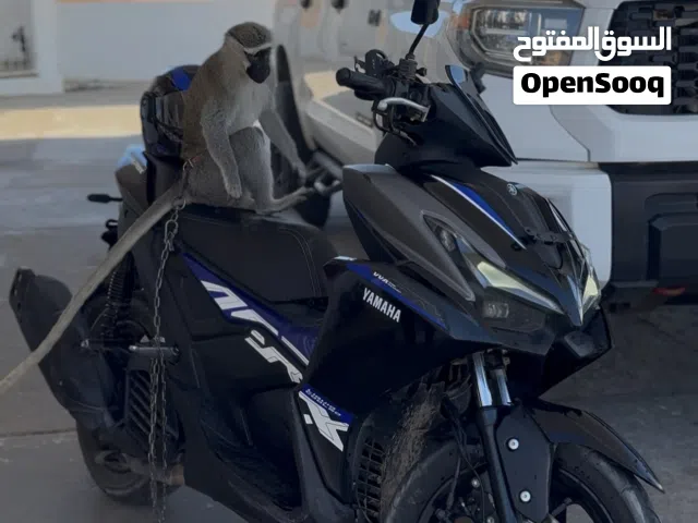 2025 ياماها ايروكس