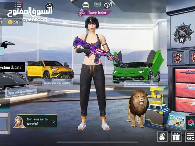 Pubg Accounts and Characters for Sale in Amman