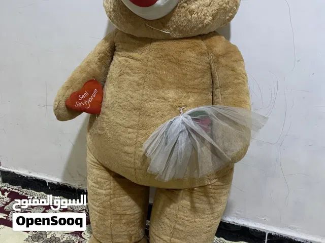 دب عملاق للبيع