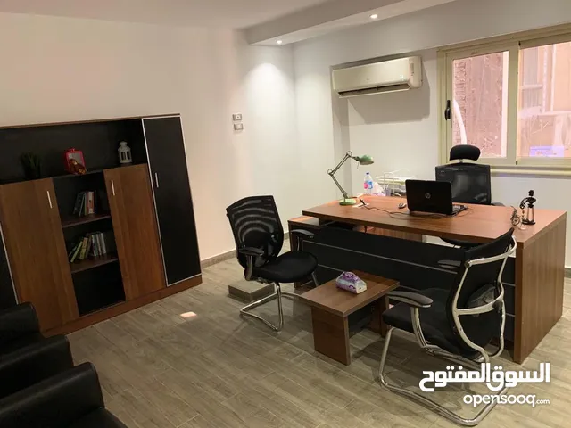 Monthly Offices in Giza Dokki