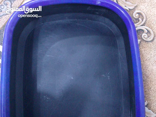 بيت قطط وحمام