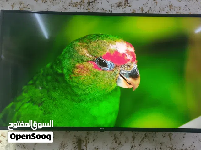 LG Smart 55 Inch TV in Amman