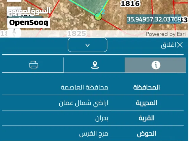 Residential Land for Sale in Amman Shafa Badran