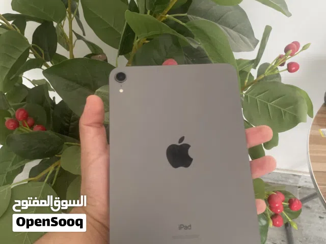 Ipad mini 6