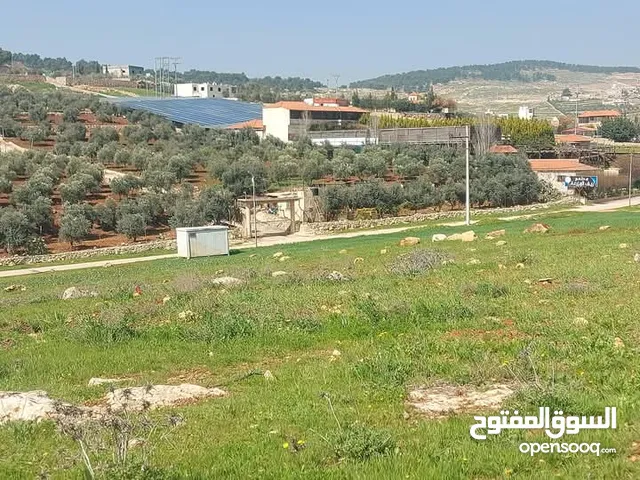 Farm Land for Sale in Jerash Other