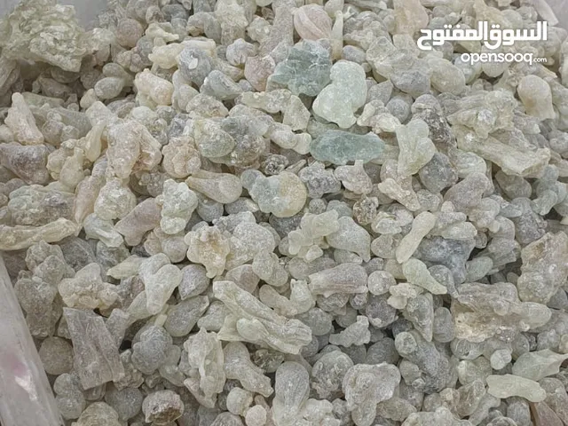 جميع انواع اللبان الحوجري