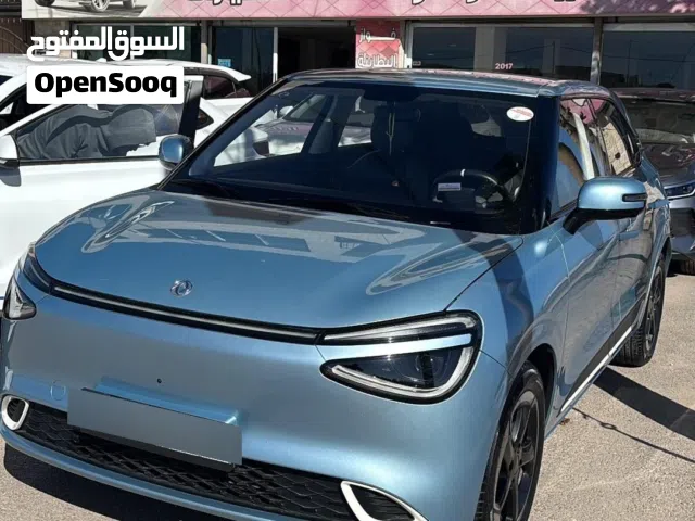 2023 دونج فينج نامي بوكس