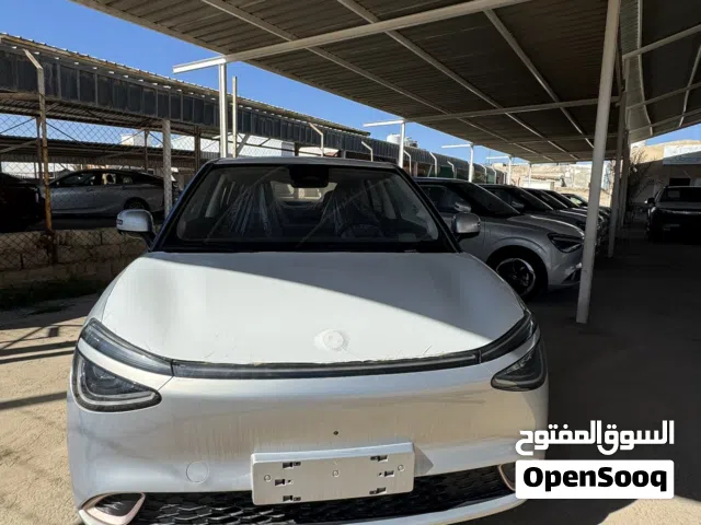 2025, Dongfeng, Nammi Box