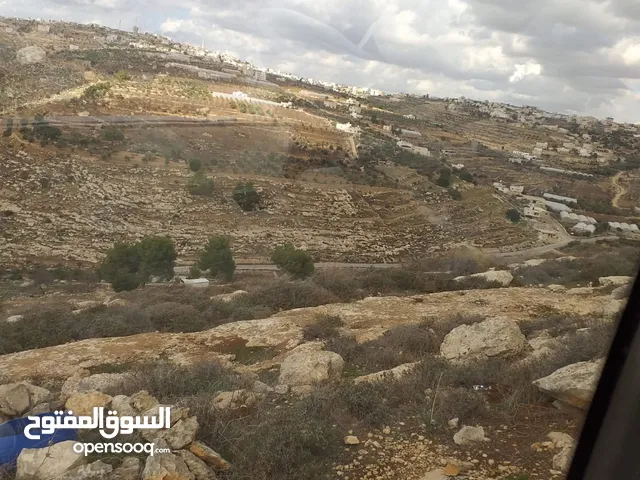 دورا جبل ابو عشرة
