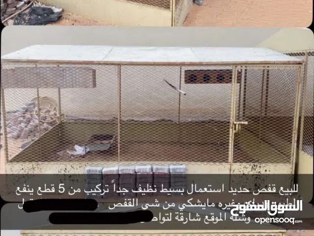البيع قفص الحمام او دياي ينفع