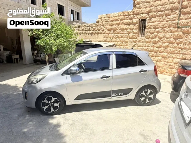 مورنينج 2017 نخب