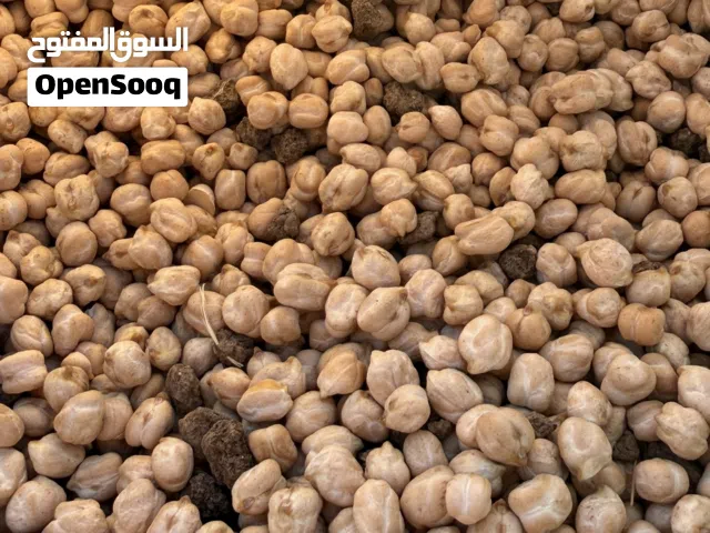 حمص حب نخب النخب