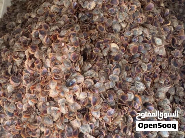 ضفرة نظيف للبيع