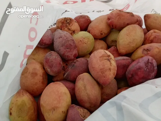 لوز بجلي الكيلو بي 50