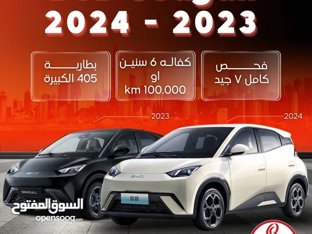 BYD سيجال 2024
