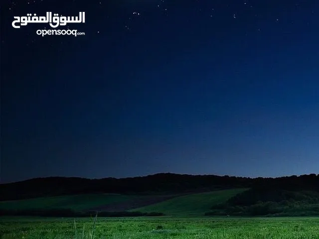سرير نفرين استعمال خفيف