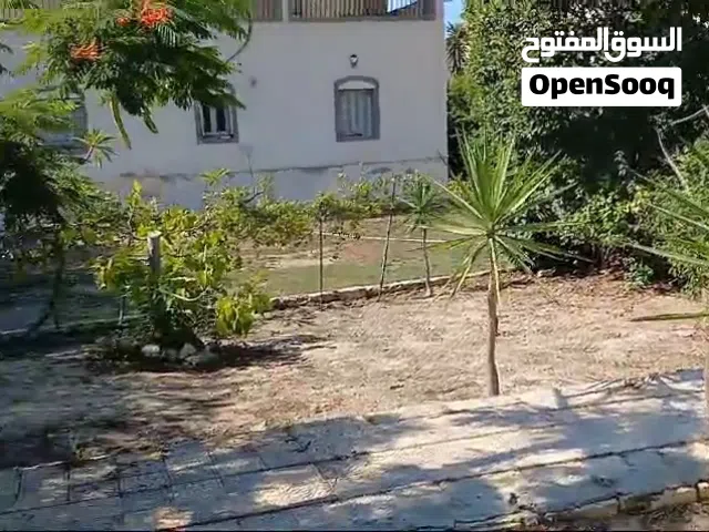 فيلا للبيع العجمي ابو يوسف
