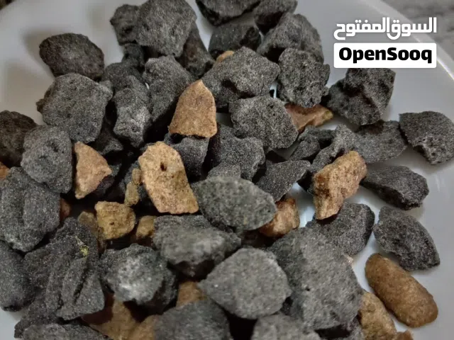 السلام عليكم  متوفر لبان ذكر الحكيم موجود نوعين  رائحه زكيه جداً