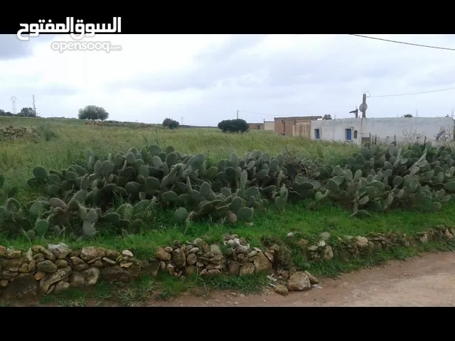 5 Bedrooms Farms for Sale in El Jadida Other