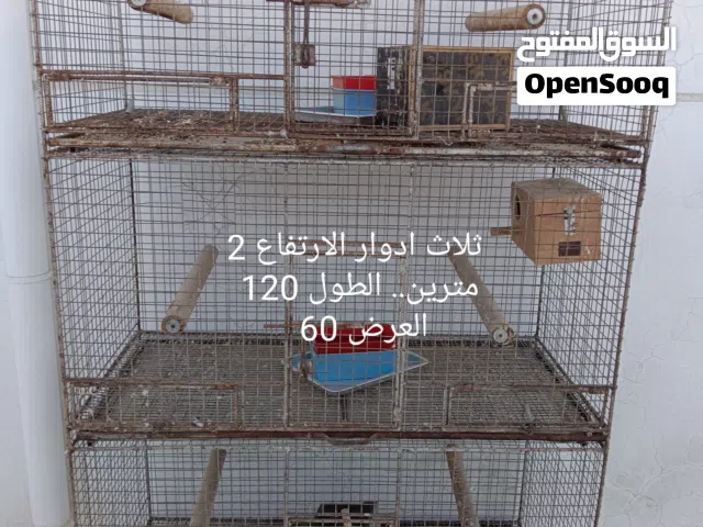 اقفاص للبيع