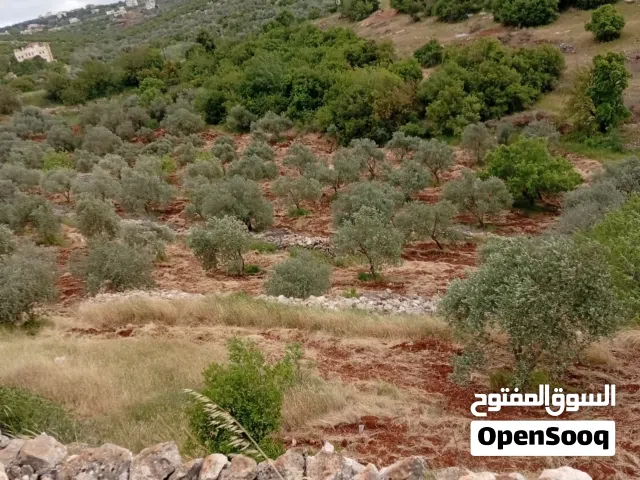 Mixed Use Land for Sale in Ajloun Other
