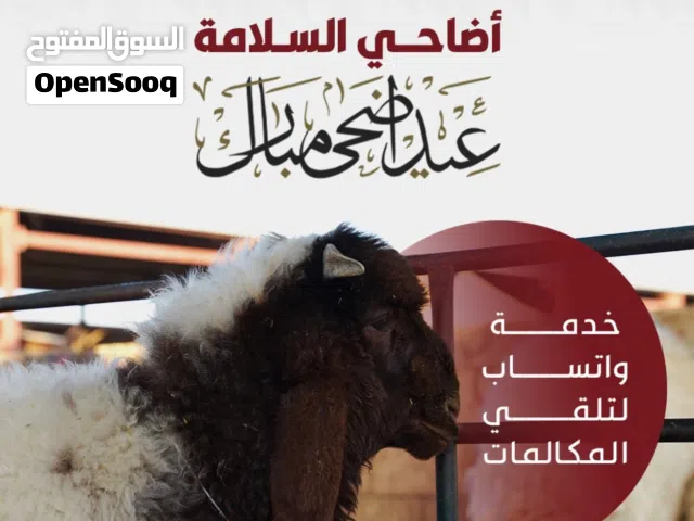 ذبايح السلامة