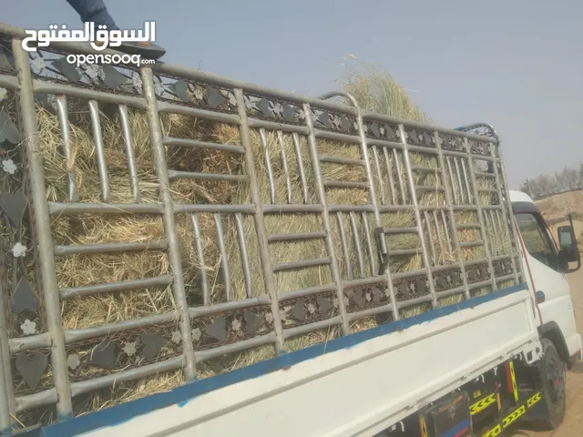 متوفر رودس و بونيكام دينه 3طن