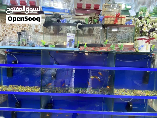 للبيع للبيع