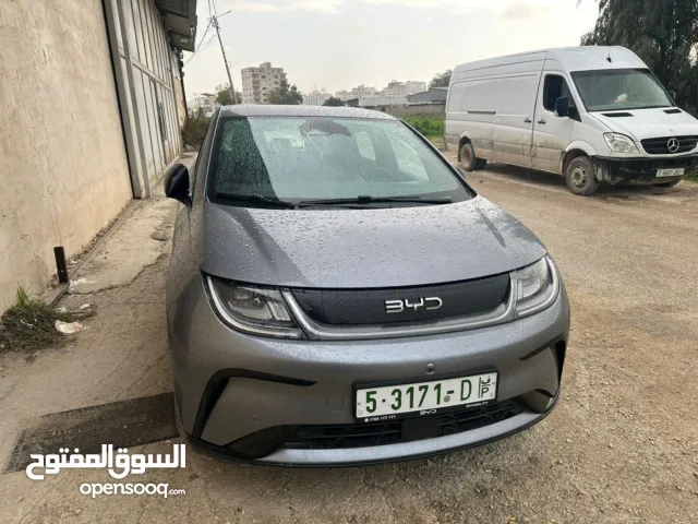 Byd  electric 2025