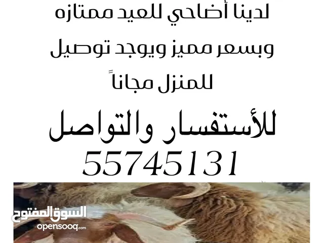 اعلاااااان
