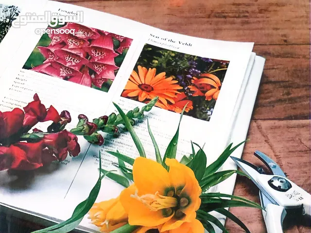 Hamlyn All-colour Garden Book