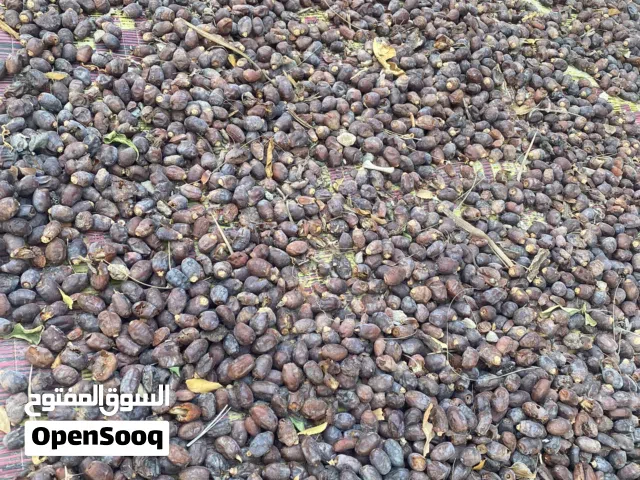 نفيعة نظيفة جدا للبيع انتاج السنة الحالية