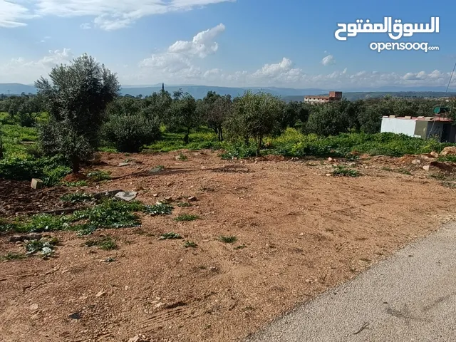 Mixed Use Land for Sale in Irbid Kufr Asad