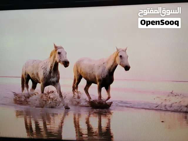 شاشه جي جارد 32 ال اي دي
