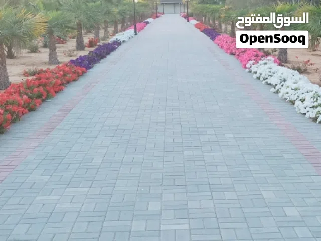 للبيع ورد بتونيه 5 الوان الحبه علي 00.60 فلس