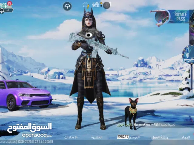 Pubg Accounts and Characters for Sale in Muharraq