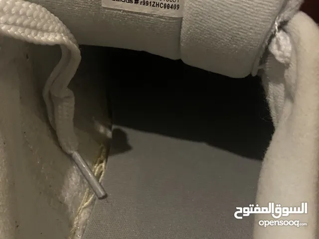 اديداس كامبوس رمادي جديد غير مستعمل