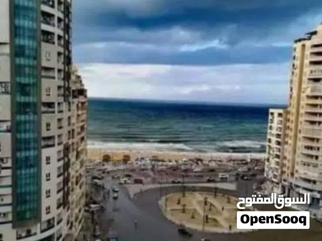 لؤلؤة سيدى بشر شارع محمد نجيب