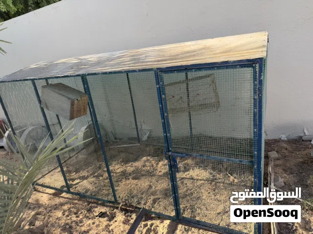 أقفاص مستعملة للدواجن والحيوانات للبيع Cages for sale