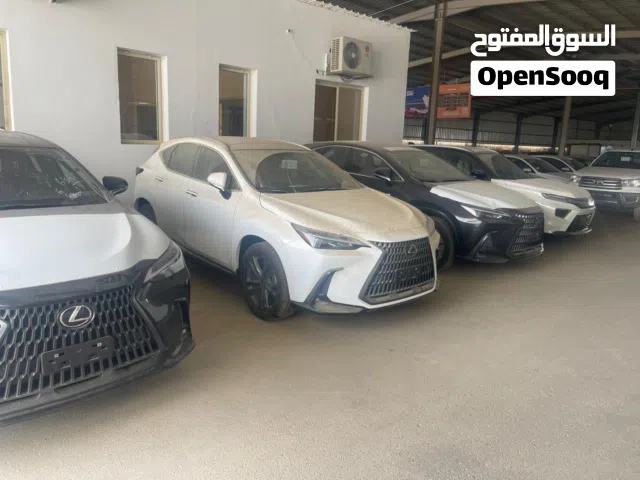 لدينا مشروع تجاري مبيعات سيارات ونطلب ممول