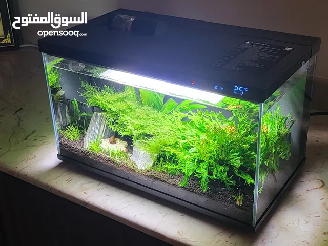 حوض سمك ذكي مع سخان ماء مع نباتات طبيعي وسمك