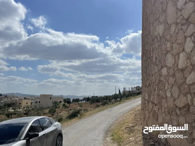 Farm Land for Sale in Zarqa Um Rummanah