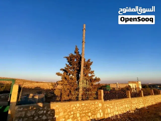 إعلان رقم (6096) مزرعة مميزة للبيع في المفرق - عين والمعمرية / 11,400 م2