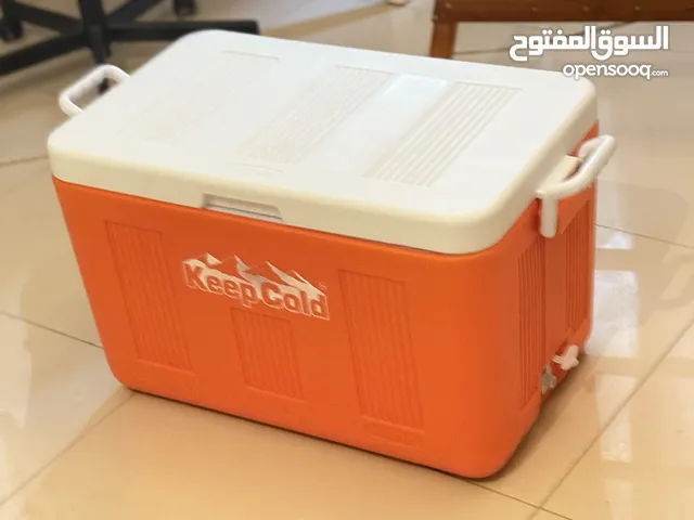 Ice box and traveling bag