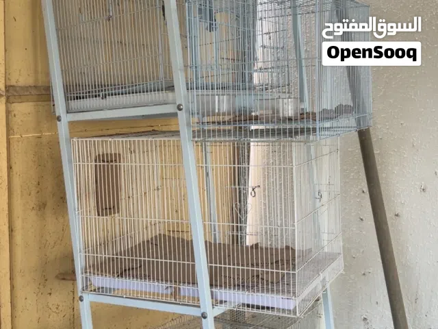 ستاند اقفاص للطيور الستاند بدون الاقفاص